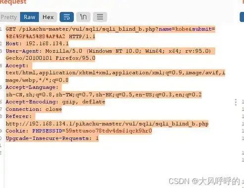 深入剖析SQL注入漏洞，揭秘常见网站源码中的安全隐患及防御策略，sql注入网站源码怎么用