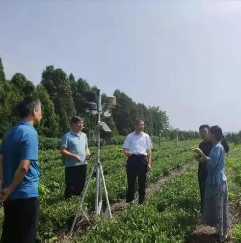 岚山网站建设，打造个性化品牌形象，助力企业数字化转型，岚山网站建设招标公告