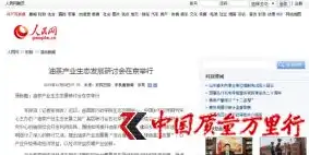 打造专业网站，成就企业品牌新高度——揭秘建网站企业的核心优势，企业建网站一般要多少钱