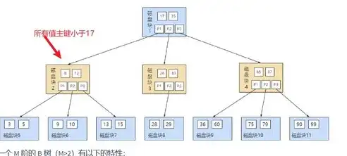 索引存储结构，高效数据管理的关键优势，索引存储结构的适用范围