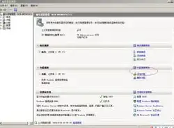 深入解析Windows Server 2008在企业管理中的应用与优势，Win2008服务器怎么玩红警