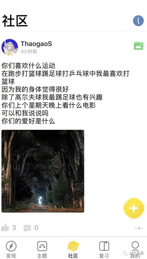 跨越语言障碍，探索全球文化——多语言网站的无限魅力，多语言网站建设方案