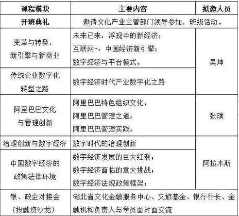 深度解析，阿里云服务器在数字化转型中的关键作用，啊里服务器