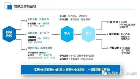 深入解析大数据处理的五大类型及其应用场景，大数据的处理类型有哪些方面