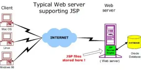 深入探讨JSP获取服务器域名的技巧与应用，jsp 获取服务器域名信息