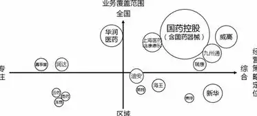 网站类型分类详述，网络世界的多元化生态解析，网站类型分类有哪些种类