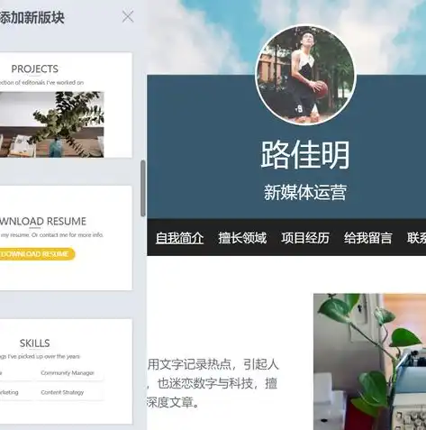 零成本开启您的网络世界——免费建站指南全解析，免费建一个网站的软件