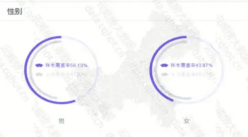 国内租云服务器，解析优势、选择技巧及实战案例分析，租用云服务器哪家好