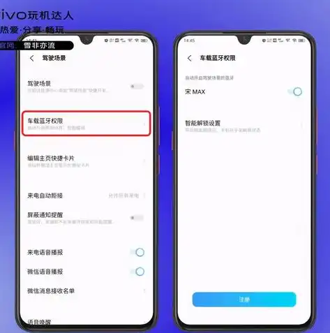 全面解析，手机存储权限如何开启与调整，轻松掌握存储空间管理技巧，vivo手机存储权限在哪里打开