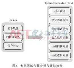 深入剖析专业网站开发的流程与技巧，打造高效企业平台，专业网站开发哪家好