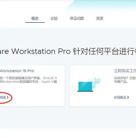 深入解析VMware Workstation 15中文版，全面升级的虚拟化平台体验，虚拟机vm15中文版官网下载