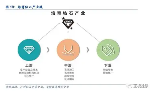 深度解析y火10星评价，揭秘网站SEO优化之选