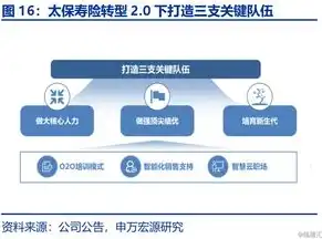 深度解析温州网站优化策略，提升网站排名，助力企业腾飞，温州网站优化价格