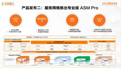 阿里云服务器，助力企业高效稳定的云端之旅，阿里云服务器干什么用的啊