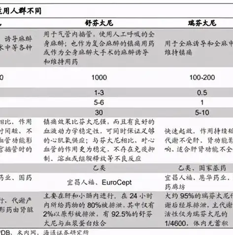 宜昌网站建设，打造高效、专业的网络平台，助力企业腾飞，宜昌网站建设网站推广