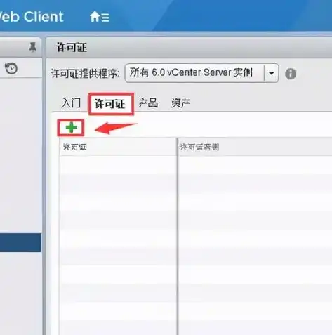 深入解析虚拟化集群搭建流程，从规划到部署的全方位指南，vmware虚拟机集群搭建 步骤