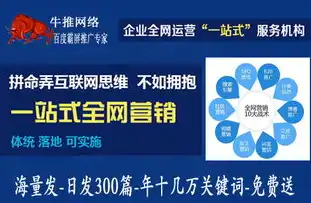 镇江地区网站SEO优化公司助力企业网络营销突破新高度，镇江网站运营