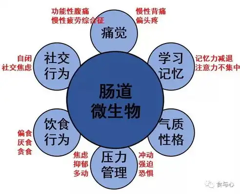 探寻导致我国食品安全问题频发的多重因素解析，关键词一旦就