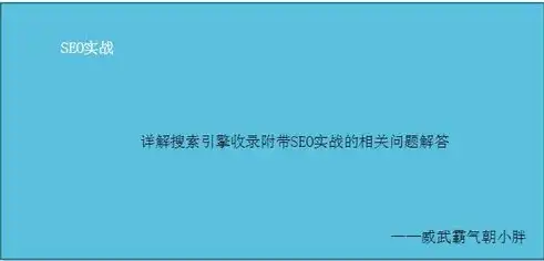 SEO收录深度解析，理解网站内容被搜索引擎收录的奥秘，seo收录是什么意思?