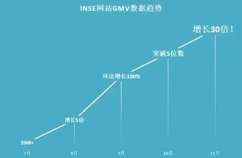 深入剖析成功网站案例，揭秘其背后的设计理念与运营策略