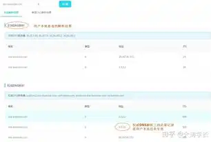 揭秘动态域名解析服务器，技术原理、应用场景与未来发展，动态域名解析服务器异常