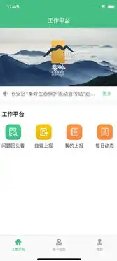 智慧生活，一键掌控，揭秘我国领先的网站APP应用，网站app生成免费软件