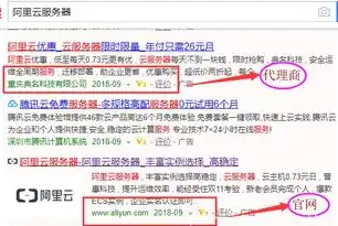 揭秘阿里云服务器不稳定之谜，全面剖析原因及应对策略，阿里云服务器不稳定怎么解决