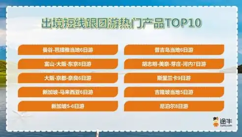 揭秘谷歌关键词热度，如何通过精准定位实现营销成功，谷歌关键词热度前十名要多少钱