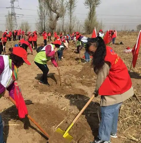 探索绿色生活，从日常做起，共建美好家园，娱乐网站模板