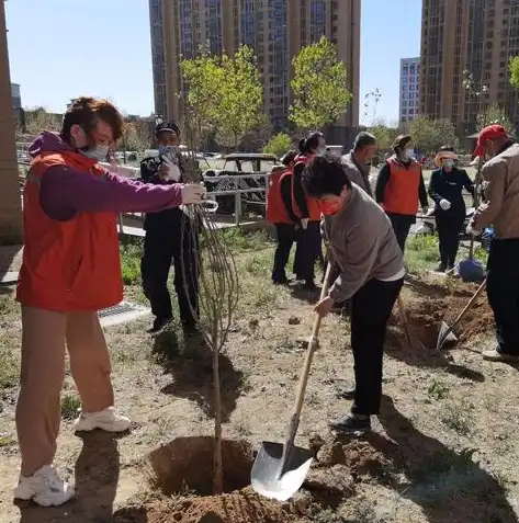 探索绿色生活，从日常做起，共建美好家园，娱乐网站模板