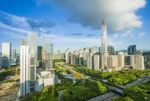 深圳，一座年轻城市的无限魅力与未来潜力，深圳网站建设公司