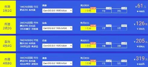 香港云服务器租用，性价比之选，轻松开启您的云端之旅，便宜的香港云服务器租用多少钱