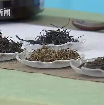 探寻茶香四溢的静谧时光——茶艺生活网站全新模板推荐，茶叶网站模板素材