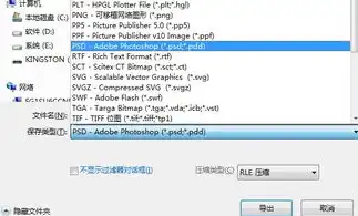 揭秘文件保存类型，了解不同格式，轻松管理文件，文件保存的类型有哪些种类