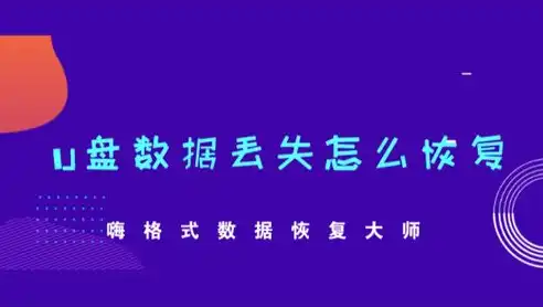 揭秘数据恢复大师会员的独特优势，助您轻松应对数据丢失难题，数据恢复大师会员版