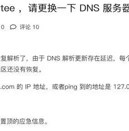 深入解析域名DNS服务器查询，揭秘域名解析的神秘面纱，dns域名查询过程