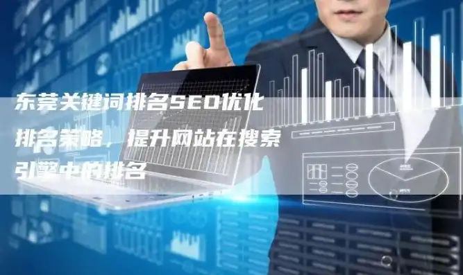 东莞SEO关键词优化策略，精准定位，提升网站排名，东莞seo排名收费