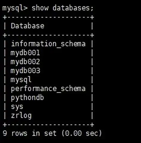 深入解析MySQL数据库备份与导入，确保数据安全与高效迁移的秘诀，mysql数据库备份导出