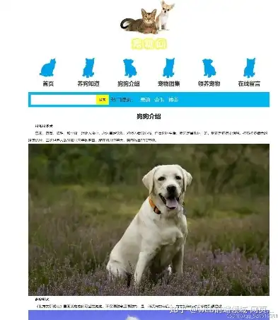萌宠乐园——打造您的专属宠物网站体验，宠物网站模板HTML
