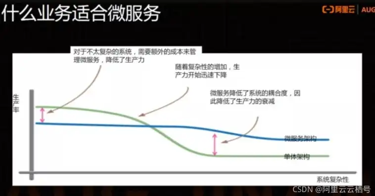 跨越微服务与单体应用鸿沟，策略与实践解析，微服务和单体服务