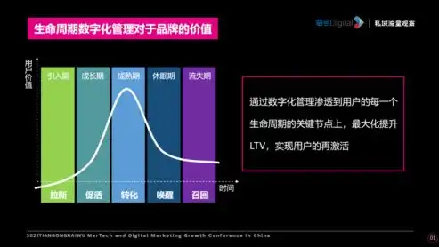 深度解析，网站关键词的奥秘与策略，网站关键词是什么意思