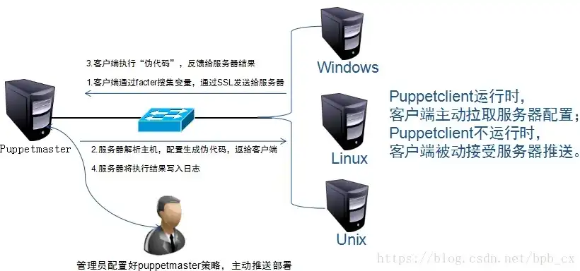 揭秘服务器登录记录，深入了解系统安全与用户行为分析，服务器查看登陆记录在哪