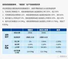 深度解析重庆整站SEO优化策略，助力网站脱颖而出，重庆整站优化cms