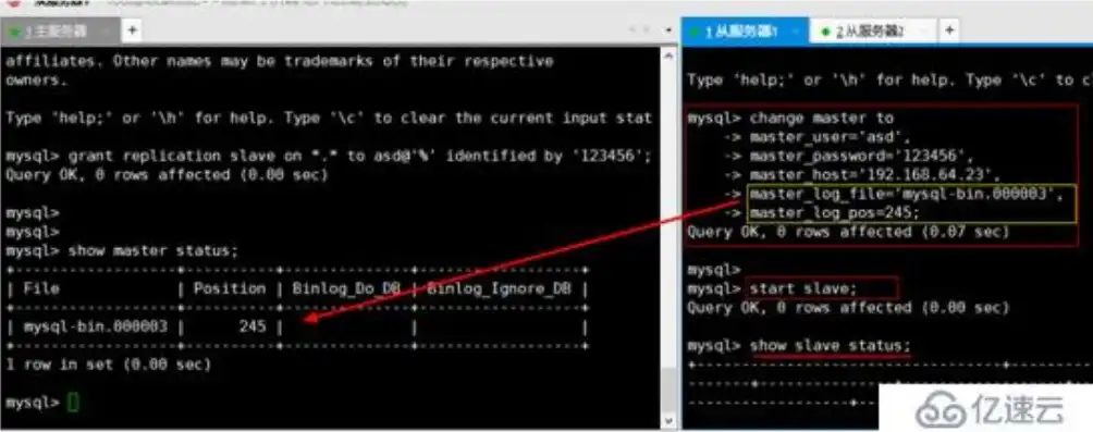 MySQL数据库备份技巧与详细操作指南，mysql怎么备份数据库