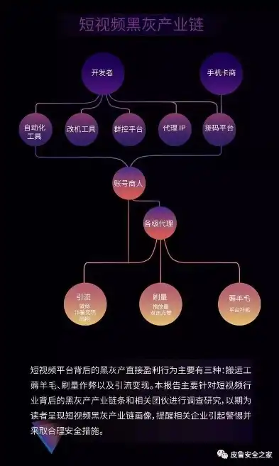 揭秘假视频网站源码，揭秘黑灰产业链背后的真相与风险，假视频论坛