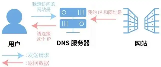 服务器DNS与域名DNS设置差异分析及最佳实践，服务器dns要和域名dns一样吗安全吗