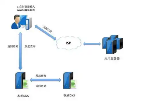 揭秘域名服务器号，解析其工作原理与重要性，域名服务器号怎么填