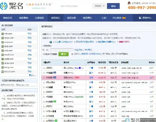 揭秘域名抢注网站源码，掌握抢注策略，守护网络资产，域名抢注网站源码怎么获取