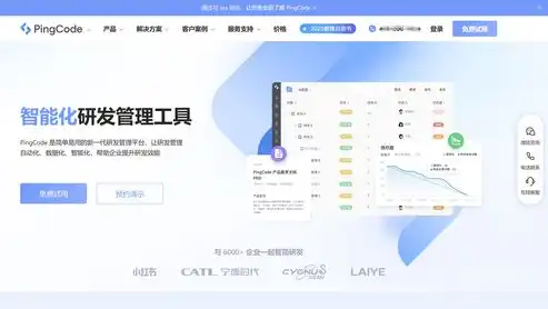 软件版本控制管理的核心策略与实践探讨，软件版本控制系统