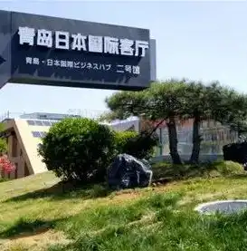 青岛关键词排名优化攻略，全方位提升网站排名，助力企业腾飞，青岛热点关键词